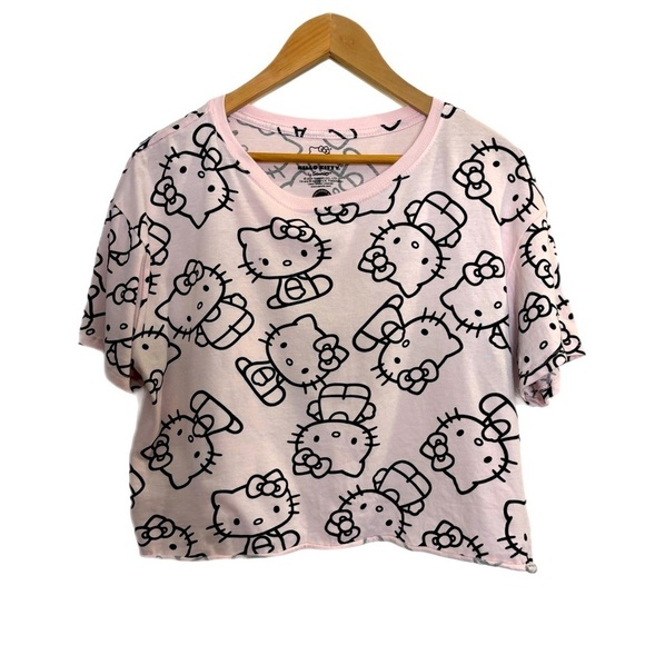 Sanrio Tops - Hello Kitty pastel pink novelty print boxy crop top